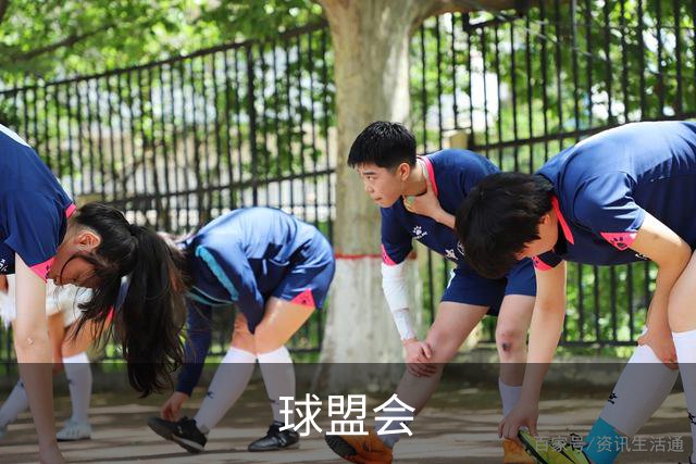 球盟会